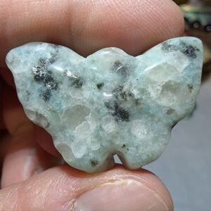 Kiwi Jasper Butterfly